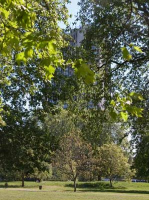 Hilton Park Lane from Hyde Park
